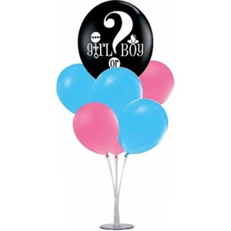 Cinsiyet Partisi Balon Standı