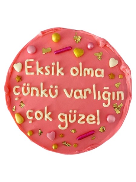 Yazılı Retro Pasta 14