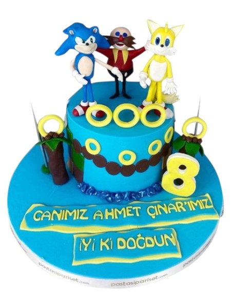 Kirpi Sonic Ve Arkadaşları Doğum Günü Pastası