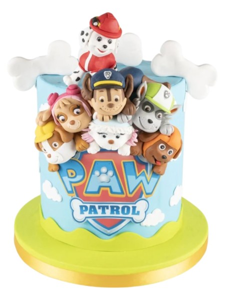Paw Patrol Butik Pasta