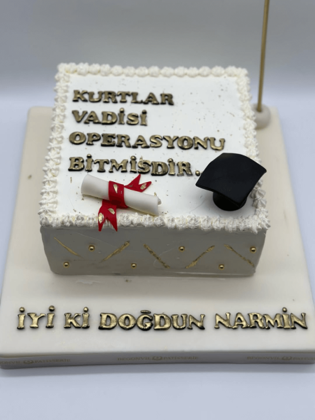 Dizi Replikli Doğum Günü Pastası