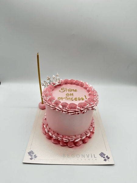 Sade ve Pembe Doğum Günü Pastası