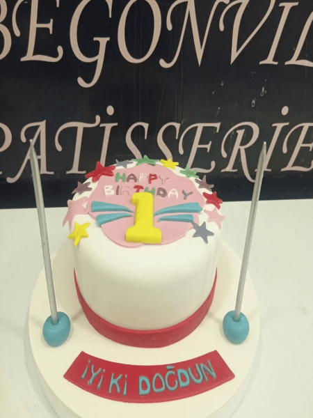 Bıyıklı Kedi Doğum Günü Pastası